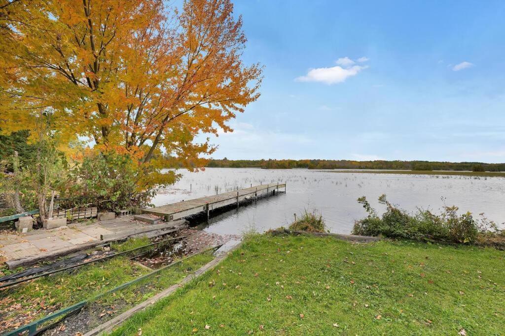 Rustic Cottage On Canal Lake Carden Екстер'єр фото